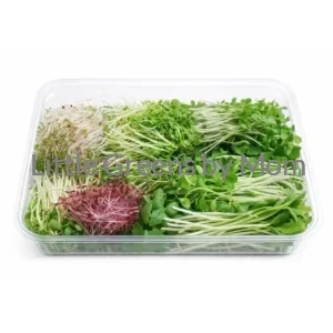 10-in-1 Box
