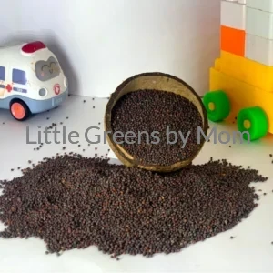 Chinese Cabbage (Green)