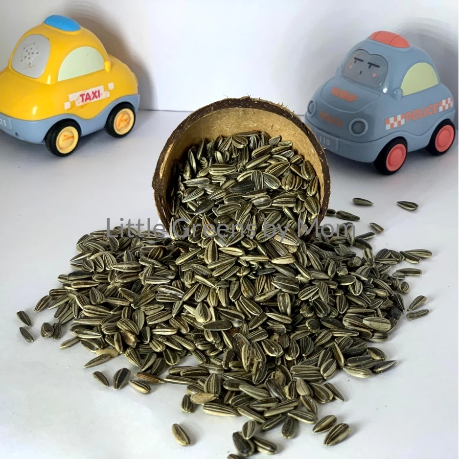 Sunflower Seeds