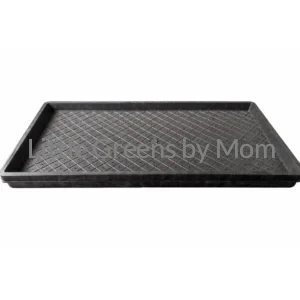 Used Black Trays (2 ft × 1 ft) – Set of 3