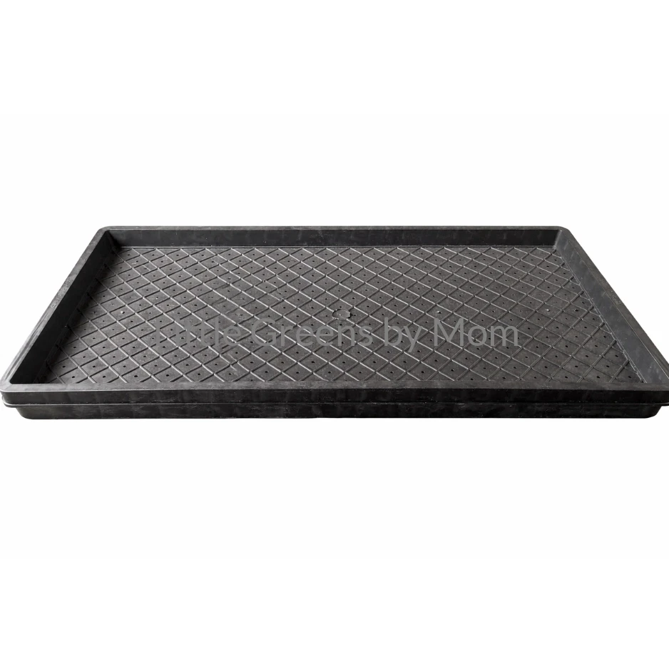 Used Black Trays (2 ft × 1 ft) – Set of 3