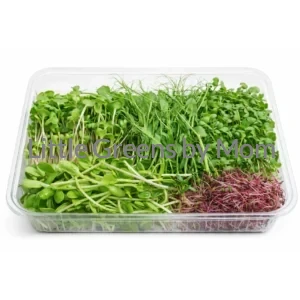 4-in-1 Box