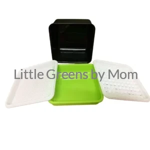 Tiny Kitchen Counter Microgreens Trays – Premium Quality