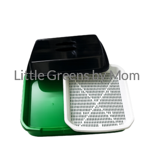 Green Colour Trays (1 ft) – Set of 2