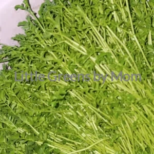 CHICKPEAS