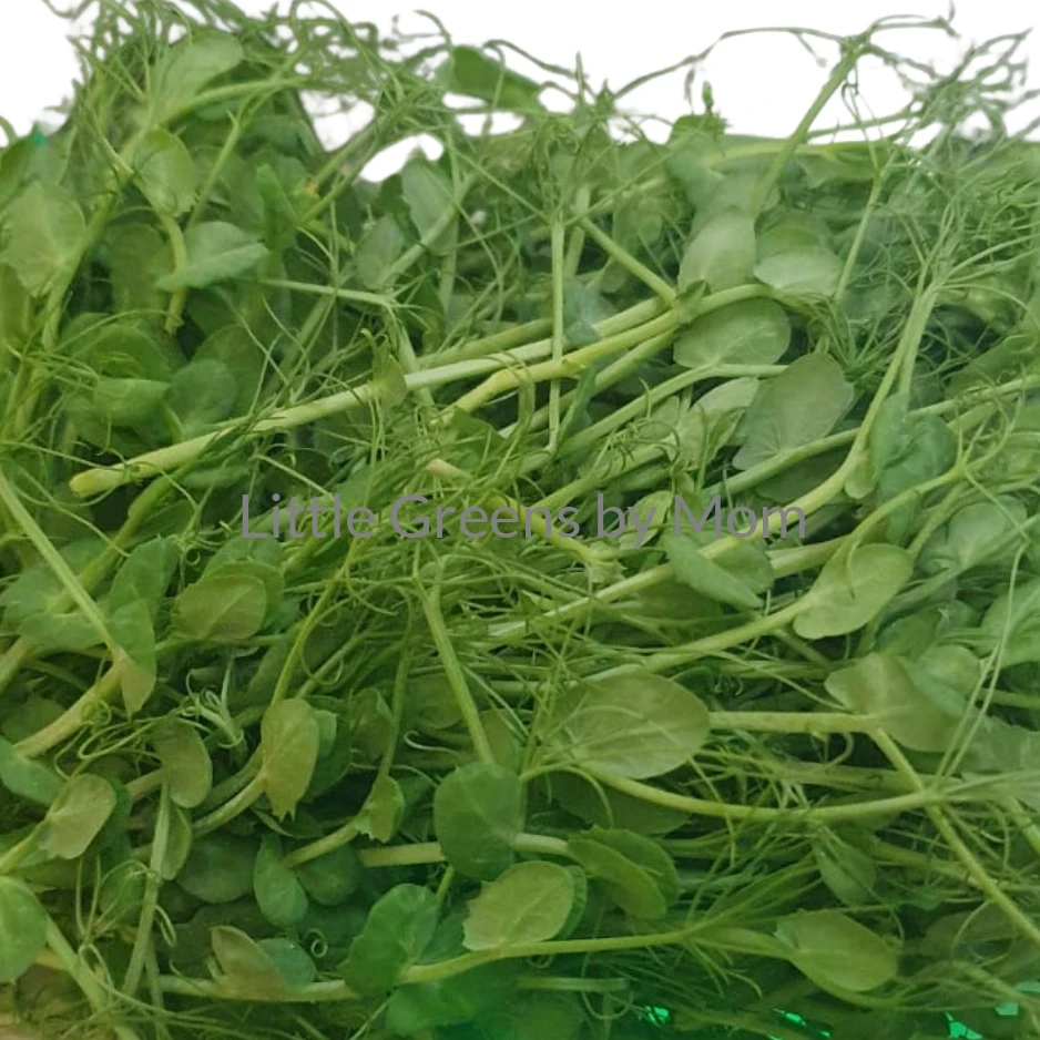 yellow peas