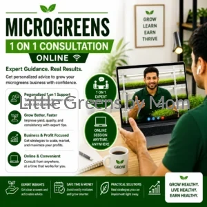 Commercial Microgreens Farm Consultation